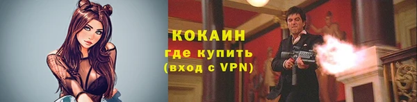 крисы Баксан