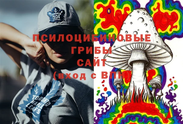 крисы Саяногорск
