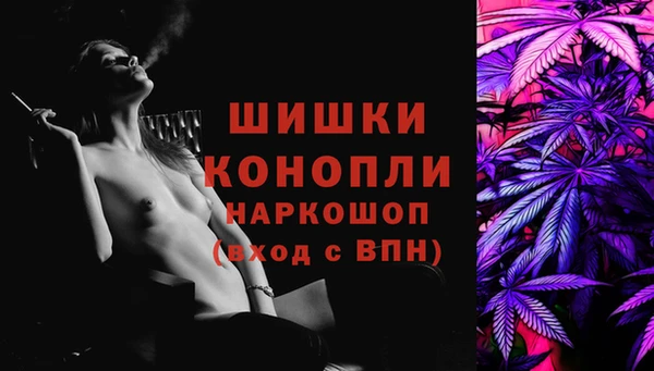 крисы Баксан